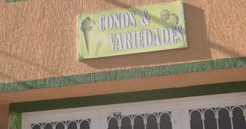 CONOS & VARIEDADES CONOS & VARIEDADES